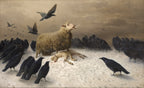 August Friedrich Schenck, Istırap (Anguish), 1878 — kar üzerinde kuzusunun yanında duran anne koyun ve çevrelerindeki kargalar