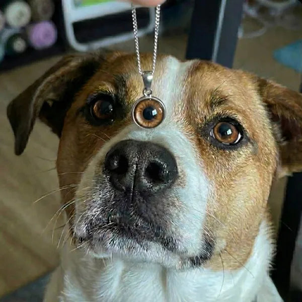 Kişiye özel köpek gözü kolye gerçek cam tasarım